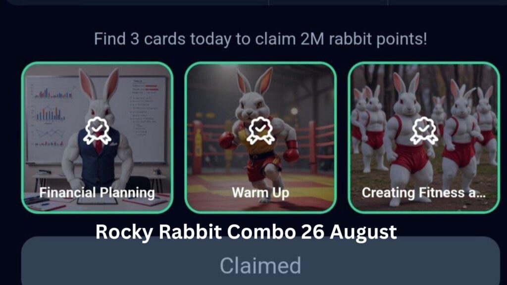 Rocky Rabbit Combo 26 August