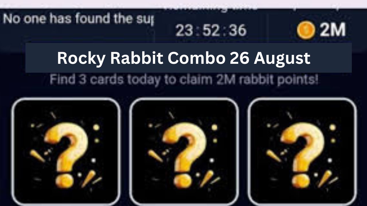 Rocky Rabbit Combo 26 August