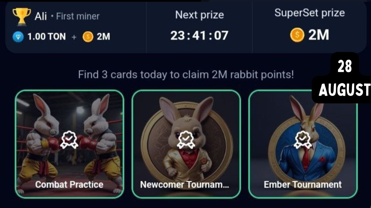 Rocky Rabbit Combo 28 August