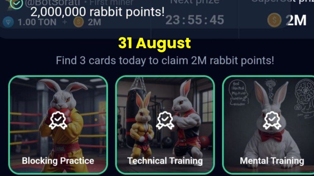 Rocky Rabbit Combo 31 August