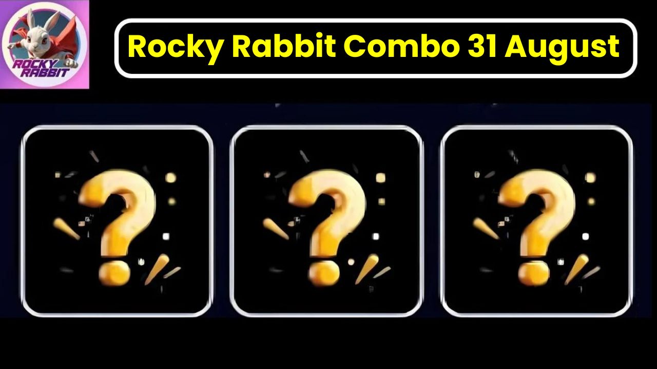 Rocky Rabbit Combo 31 August