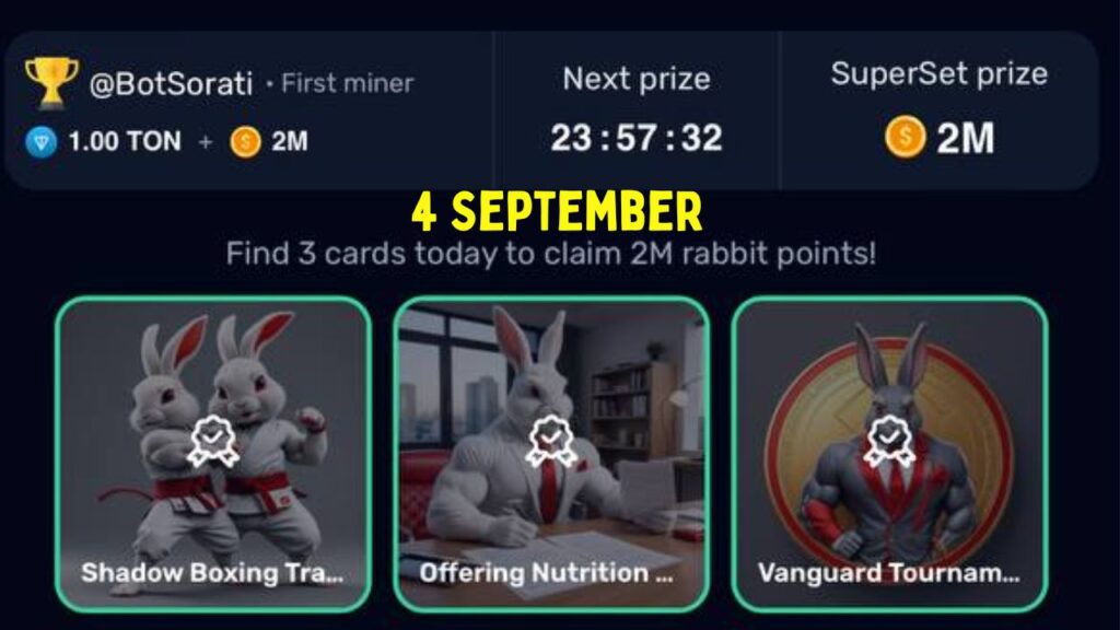 Rocky Rabbit Combo 4 September