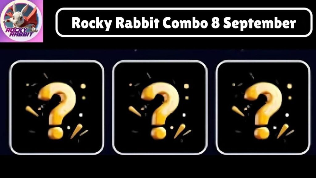 Rocky Rabbit Combo 8 September