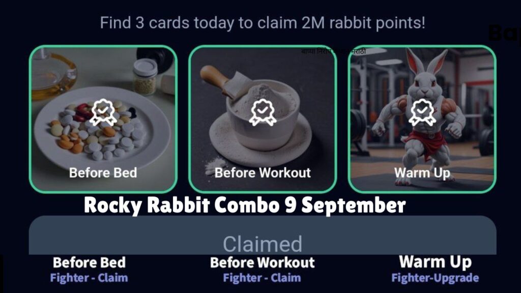 Rocky Rabbit Combo 9 September