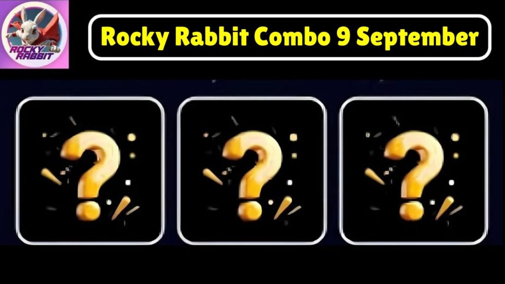 Rocky Rabbit Combo 9 September