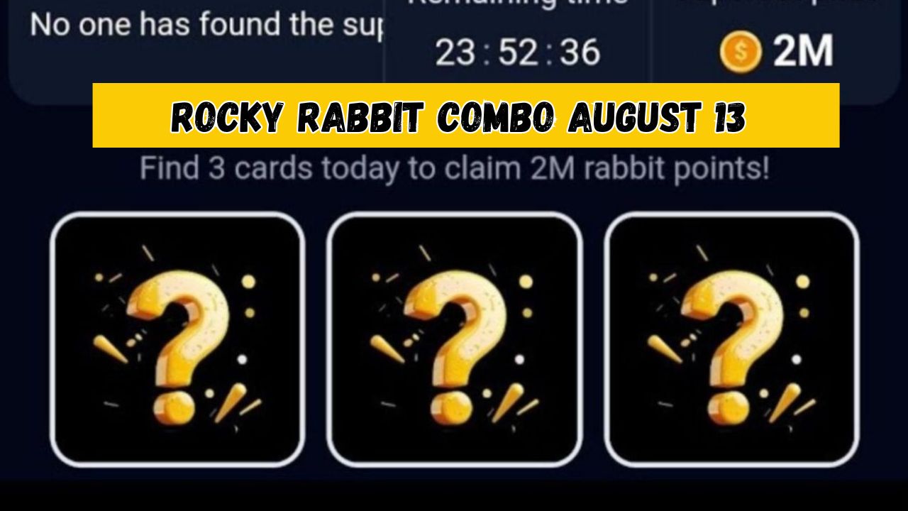 Rocky Rabbit Combo August 13