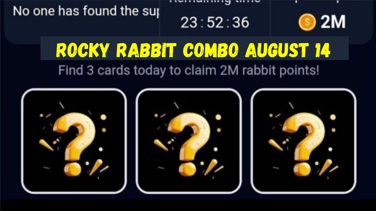 Rocky Rabbit Combo August 14