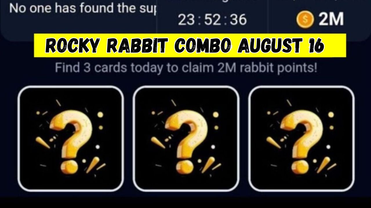 Rocky Rabbit Combo August 16