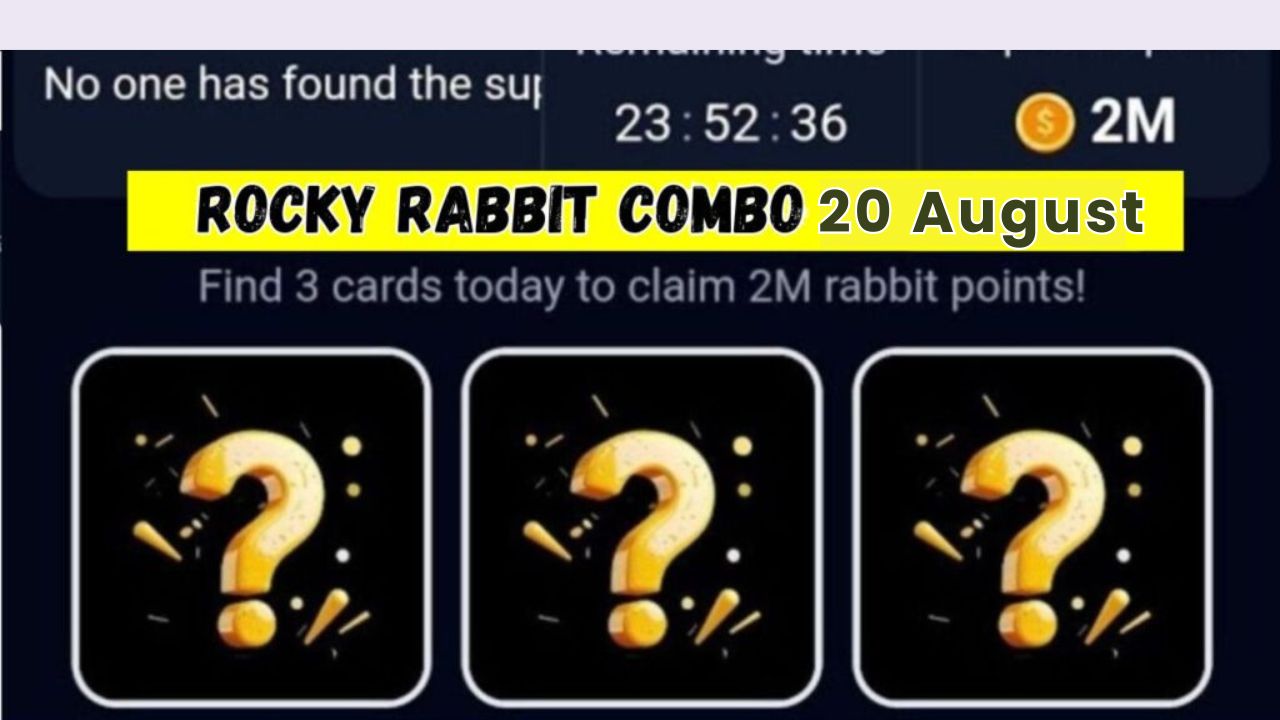 Rocky Rabbit Combo August 20