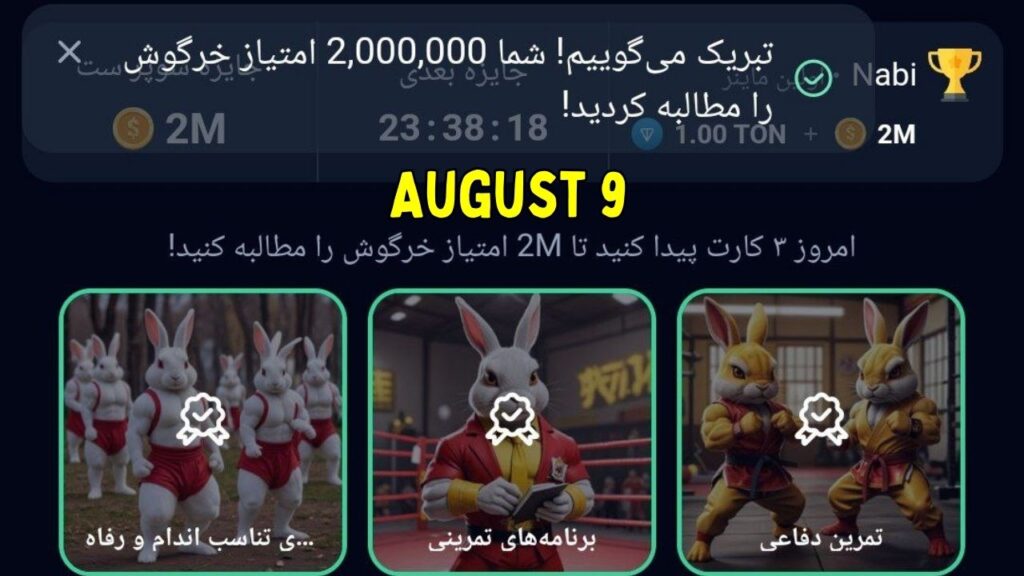 Rocky Rabbit Combo August 9