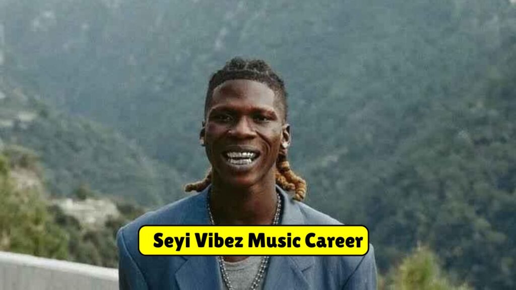 Seyi Vibez Music Career