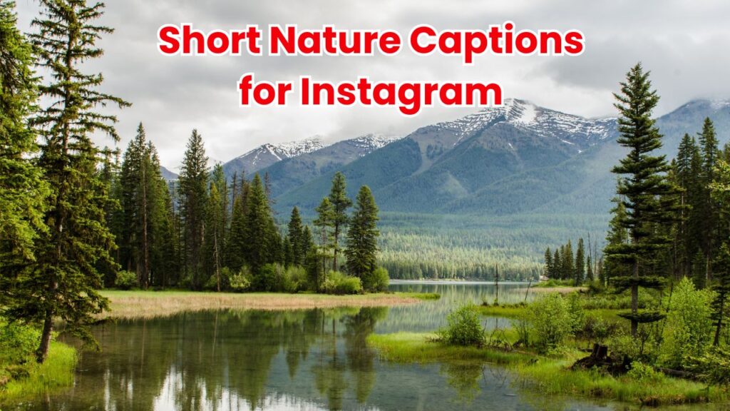 Short Nature Captions for Instagram