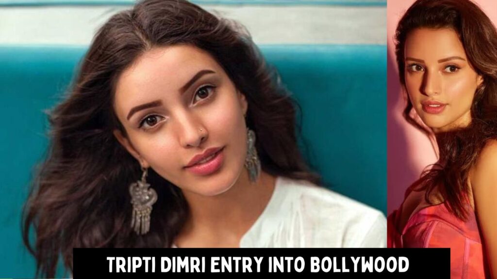 Tripti Dimri Entry into Bollywood