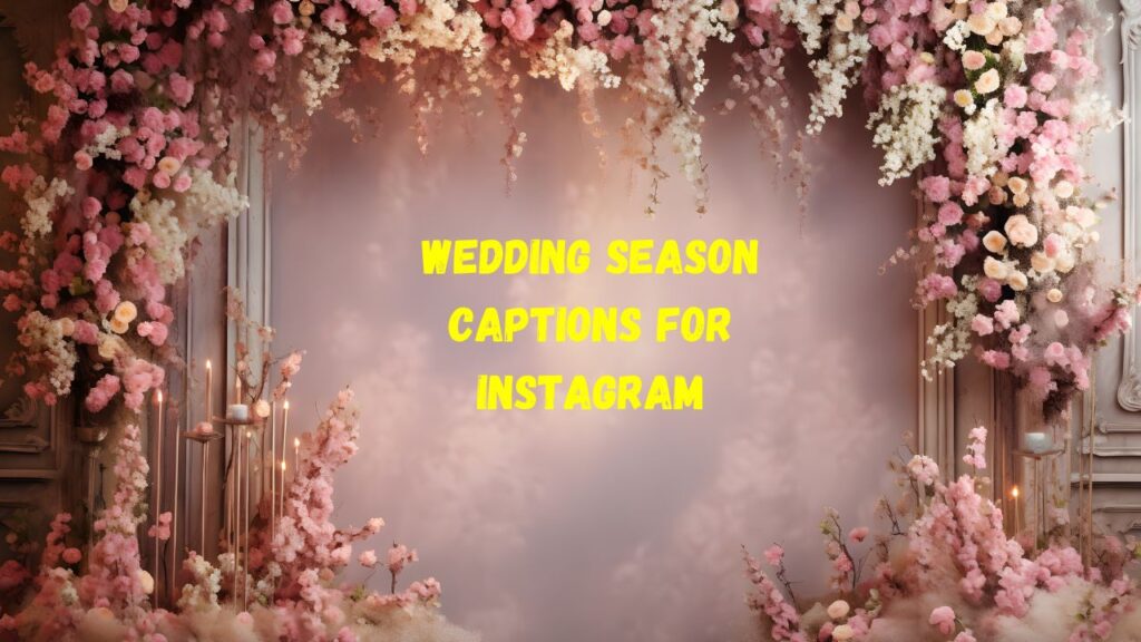 Wedding Season Captions For Instagram