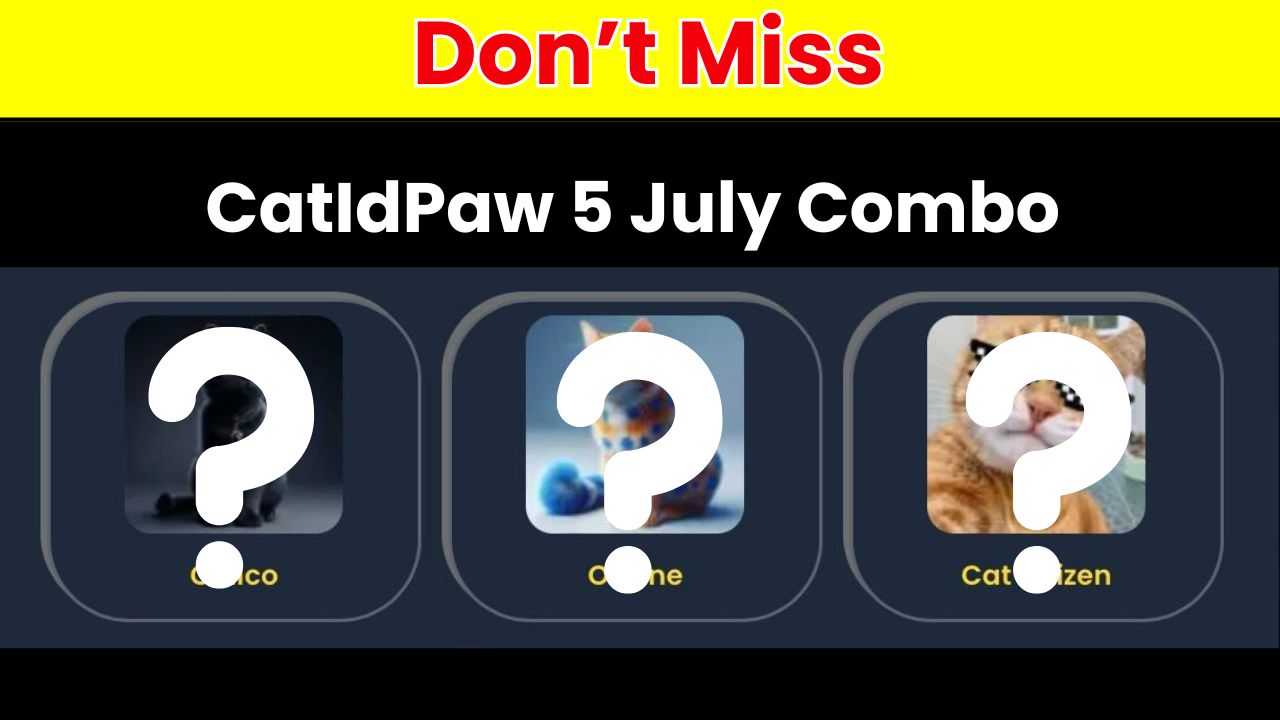 CatIdPaw 5 July Combo