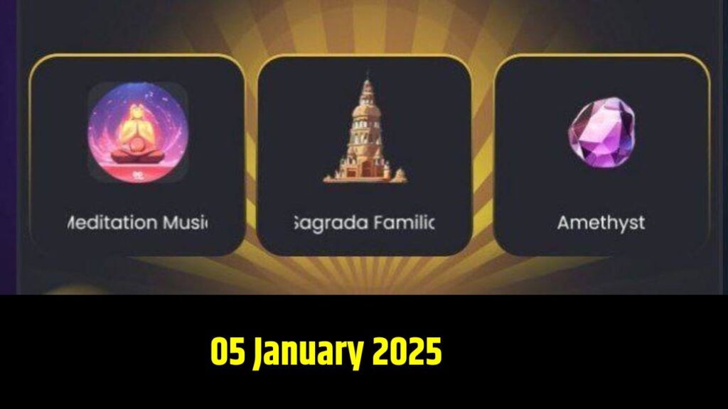 Zen Coin Combo 05 January 2025