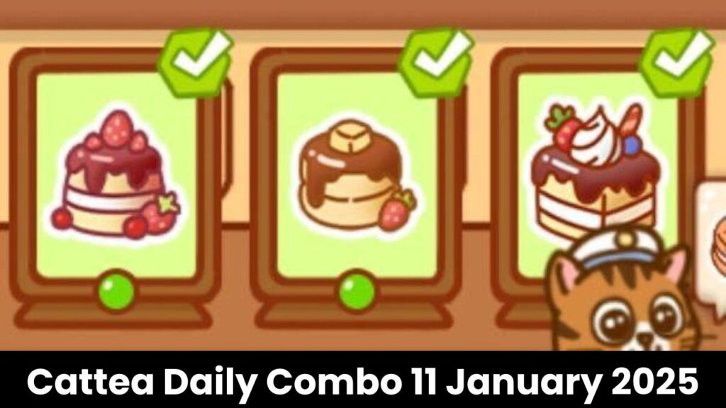 Cattea Daily Combo 11 January 2025