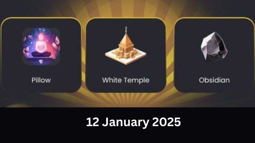 Zen Coin Combo 12 January 2025