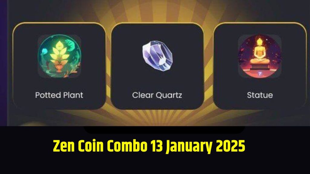 Zen Coin Combo 13 January 2025