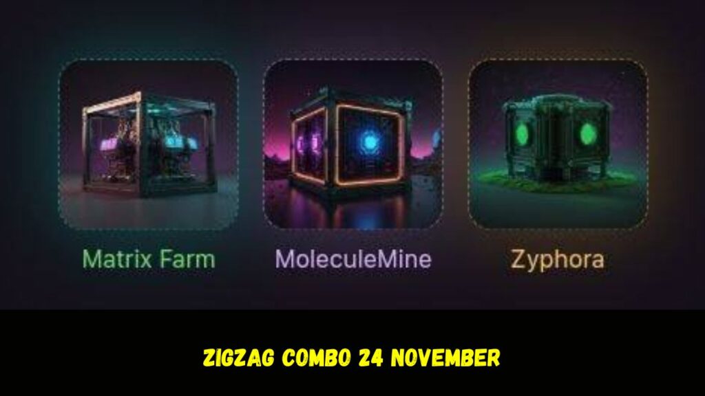 ZigZag Combo 24 November