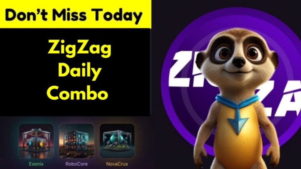 ZigZag Daily Combo 