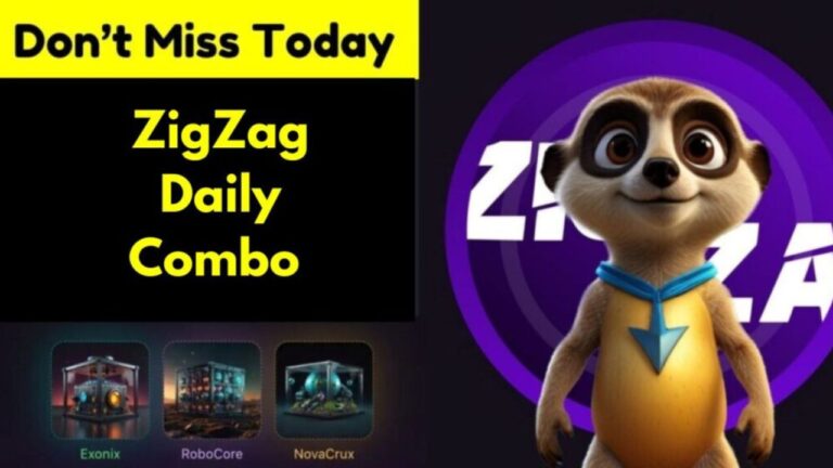 ZigZag Daily Combo