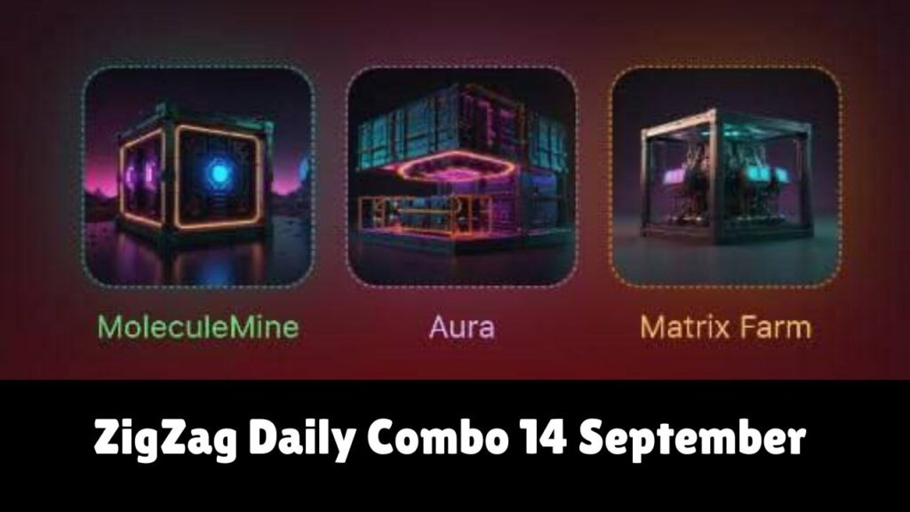 ZigZag Daily Combo 14 September