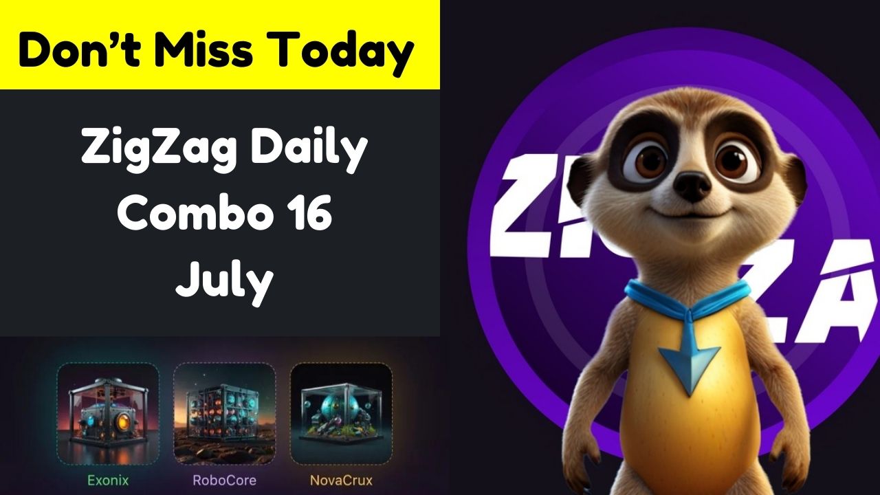 ZigZag Daily Combo 16 July