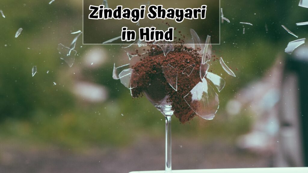 Zindagi Shayari in Hindi