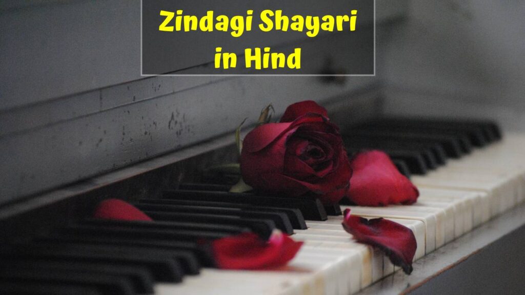 Zindagi Shayari in Hindi