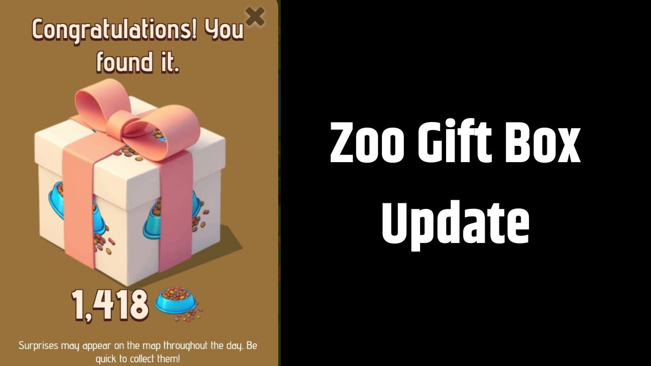 Zoo Gift Box Update