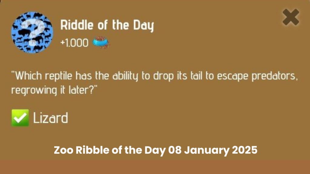 Zoo Ribble of the Day 08 January 2025