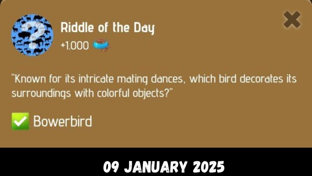 Zoo Ribble of the Day 09 January 2025