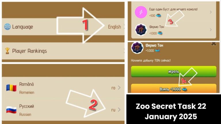 Zoo Secret Task 22 January 2025